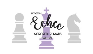 Bannière site échec