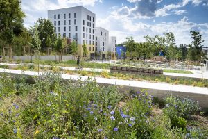 Photo du jardin des belvédères Lyon la Duchère en juillet 2020