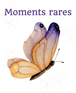 affiche moments rares